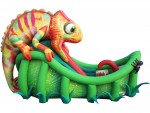 Chameleon Slide