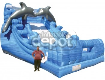 Giant Dolphin Splash